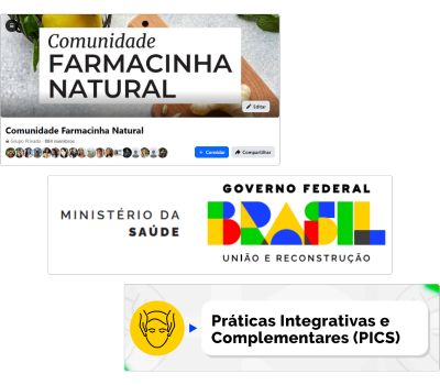 Busca por sintomas ou ingredientes